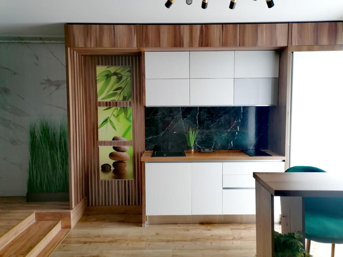 Jacuzzi Apartment Baia Mare Ngoại thất bức ảnh
