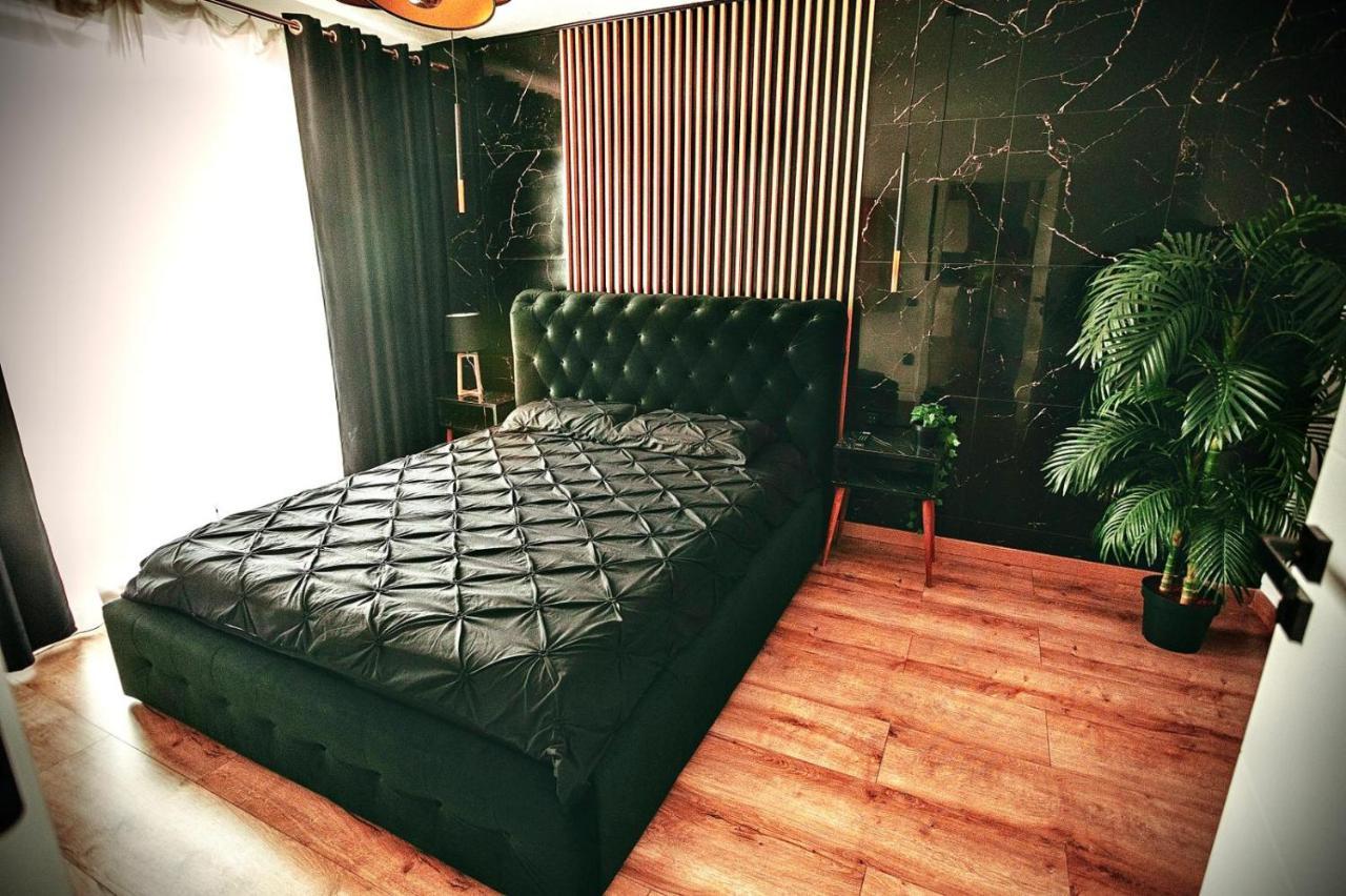 Jacuzzi Apartment Baia Mare Ngoại thất bức ảnh