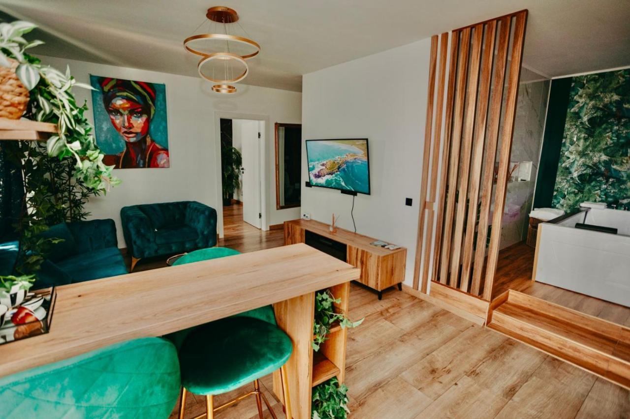 Jacuzzi Apartment Baia Mare Ngoại thất bức ảnh